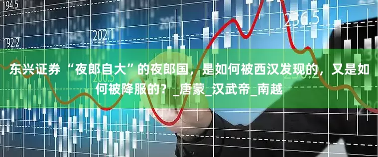 东兴证券 “夜郎自大”的夜郎国，是如何被西汉发现的，又是如何被降服的？_唐蒙_汉武帝_南越
