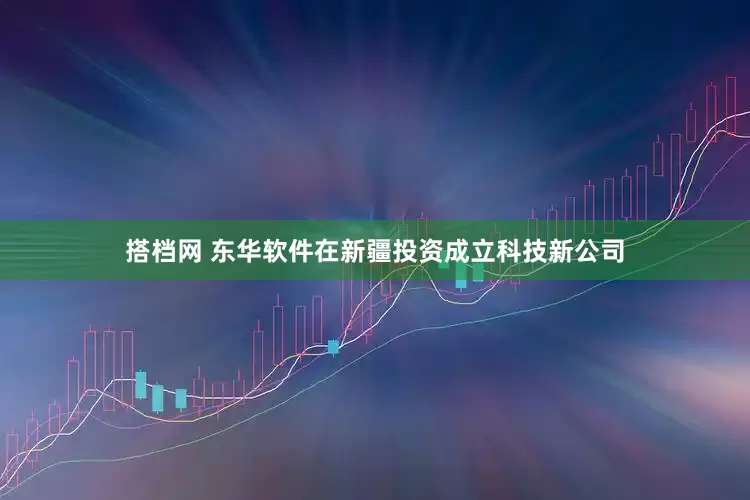 搭档网 东华软件在新疆投资成立科技新公司