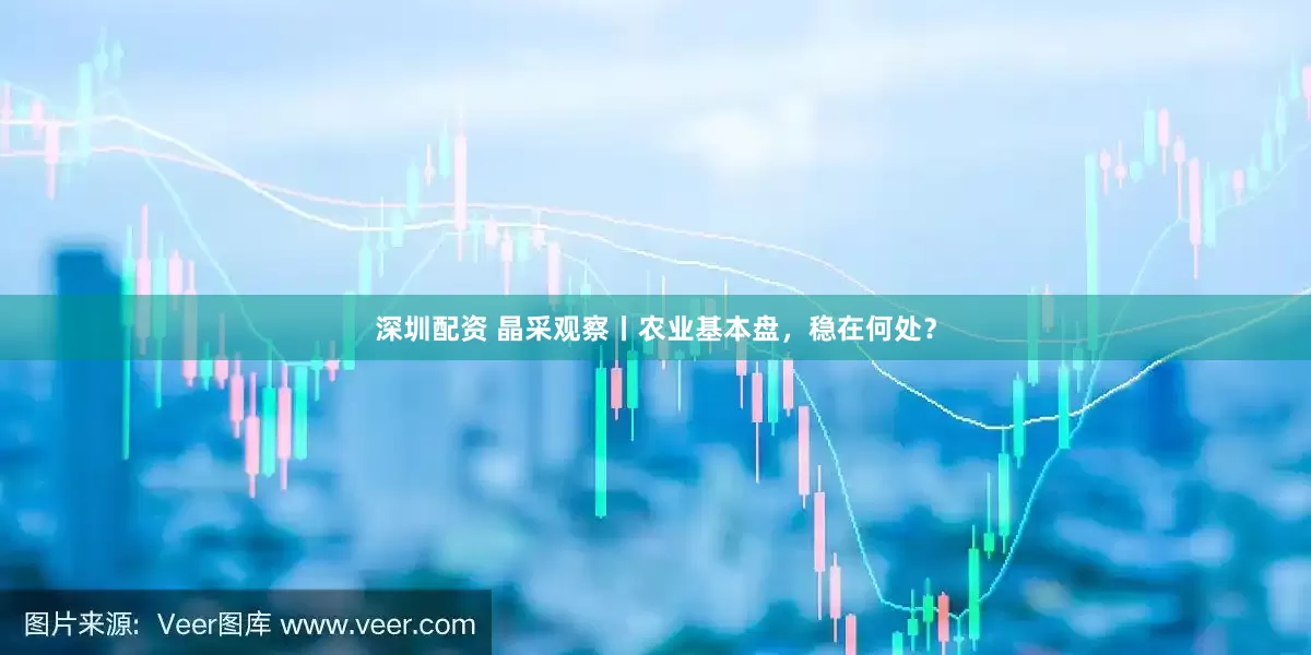 深圳配资 晶采观察丨农业基本盘，稳在何处？