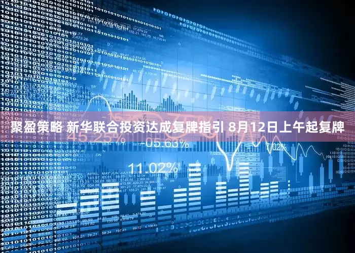 聚盈策略 新华联合投资达成复牌指引 8月12日上午起复牌