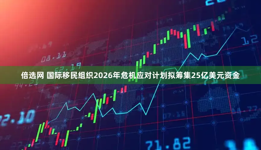 倍选网 国际移民组织2026年危机应对计划拟筹集25亿美元资金