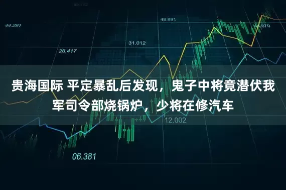 贵海国际 平定暴乱后发现，鬼子中将竟潜伏我军司令部烧锅炉，少将在修汽车